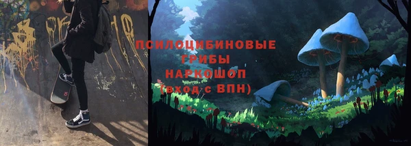 прущий лед Белокуриха