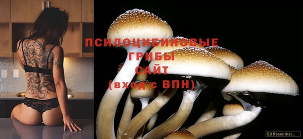 мяу мяу мука Балабаново