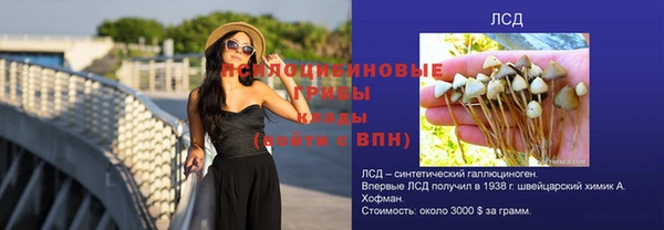 ешки Пролетарск