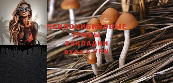 прущий лед Белокуриха