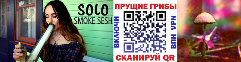 Псилоцибиновые грибы Psilocybe  kraken как войти  Ефремов 